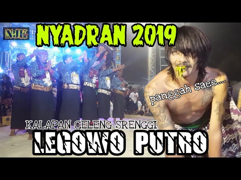 kalapan-celeng-srenggi-legowo-putro-special-nyadran-2019-|-sonoageng-prambon