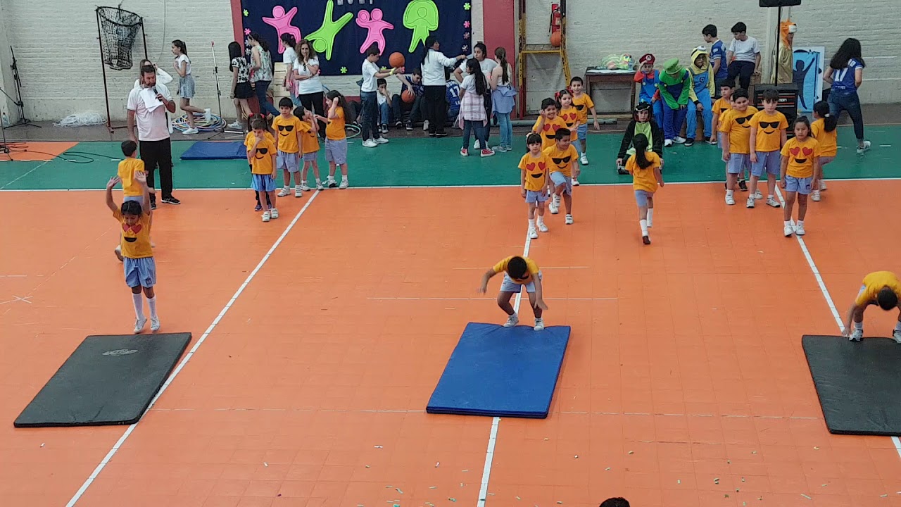 Muestra de Educación Física 2017