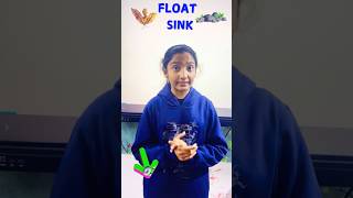 Why Do Things Float or Sink? | Class 6 Science #shorts
