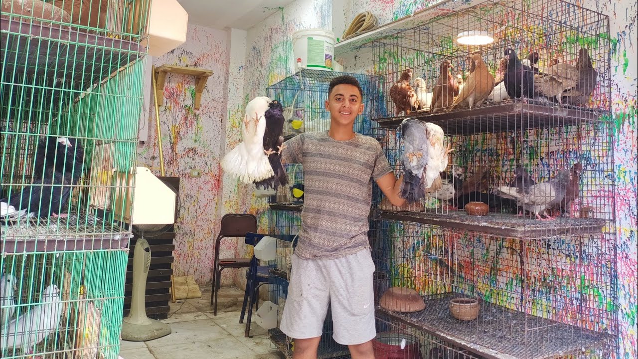 موجود بفضل الله مجموعه حمام تلتنات احجام كويسه بسعر كويس عند يوسف جوده 01111712200#العناني