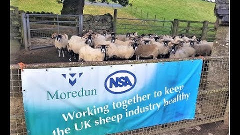 Research in a Nutshell - OPA Control