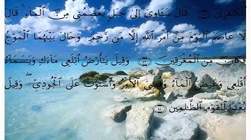 سورة هود * بصوت علي الحذيفي