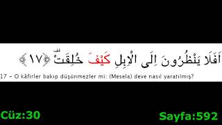 Davut Kaya 88.Gaşiye Suresi Arapça Meal Takipli