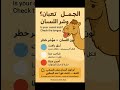 لسان جملك هو مراية صحته ازاى لاتنسوا الاشتراك في القناة وتفعيل الجرس 