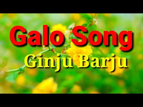   Galo song   Ginju Barju  