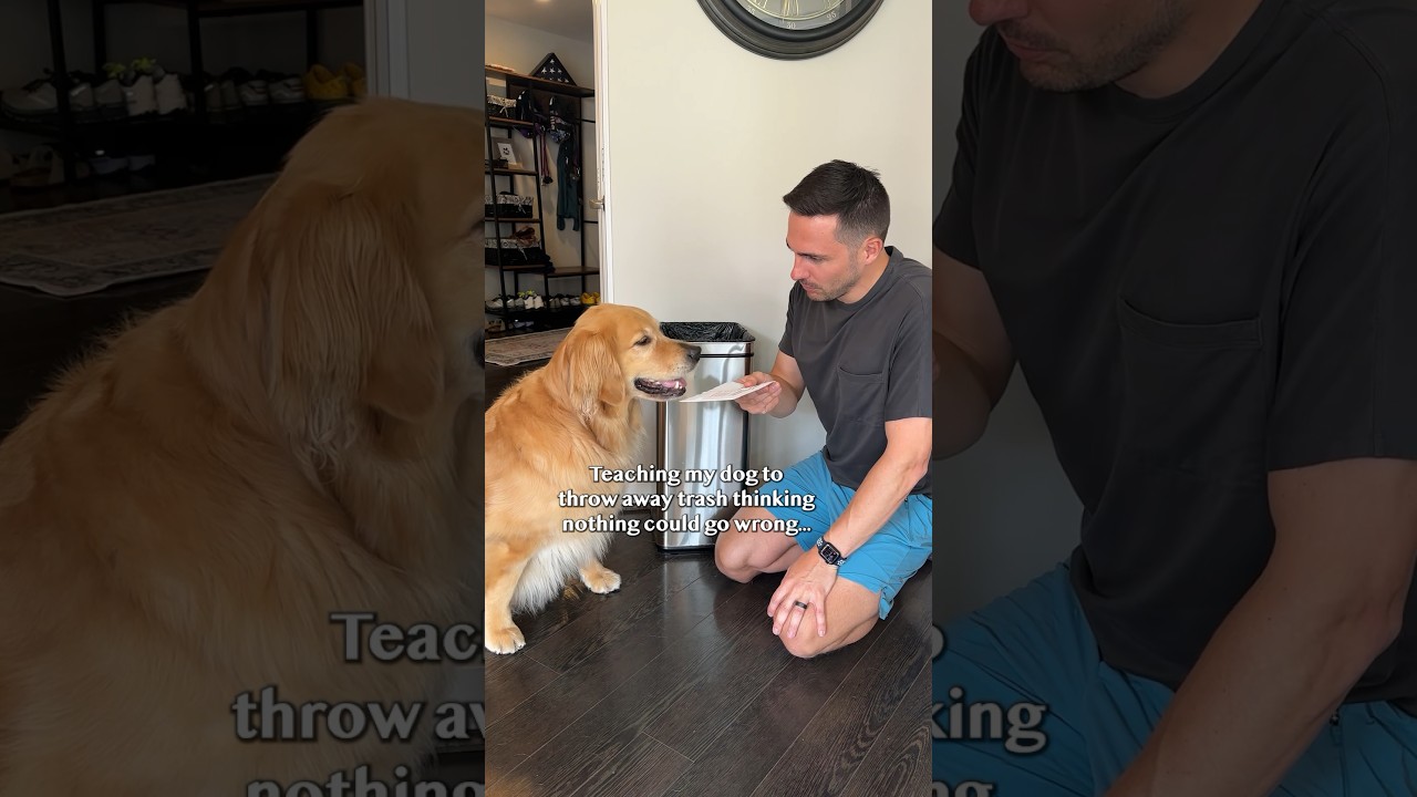 I made a BIG dog training mistake 🗑️