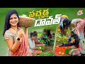 Pachadla Dawath || Village Cooking || Pickles || Jyothakka || Shiva Jyothi