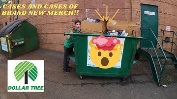 Cases and Cases Of Free Brand New Merchandise from Dollar Tree! Mothers Day Cards and MORE!!