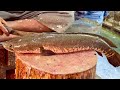 Giant Sola Fish Cutting By Expert Fish Cutter | Amazing Fish Cutting In Bangladesh