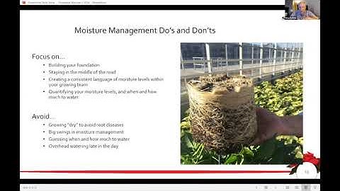 Tech On Demand: In the Break Room - Poinsettias (Part Eleven) Moisture Management in Production