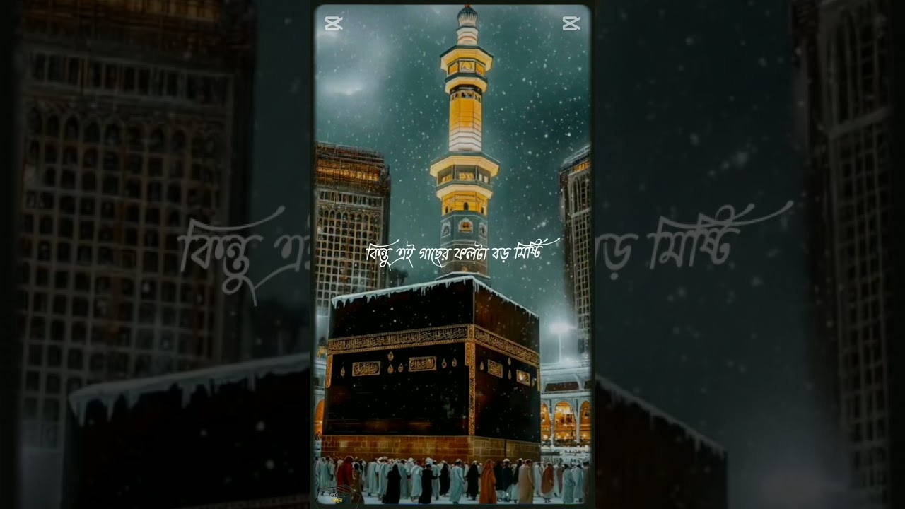 ধৈর্য এটা এমন একটি গাছ 