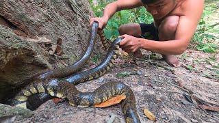 Amazing! Big Egg Snake Cooking in Forest Eating to Survival
