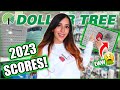 SHOCKING DOLLAR TREE *SCORES* for 2023! 🎉 (organize &amp; decorate for less)