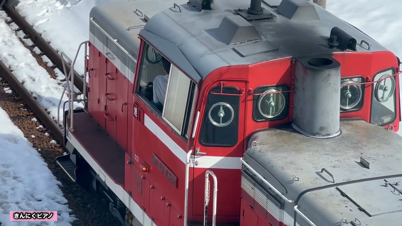 DE10-1692【試1191レ】✨に注目してみたら右に左に大忙し！？👀 in