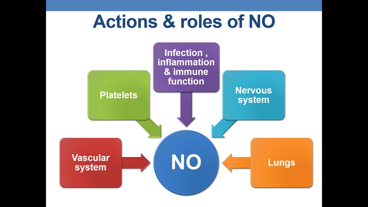 NITRIC OXIDE YouTube