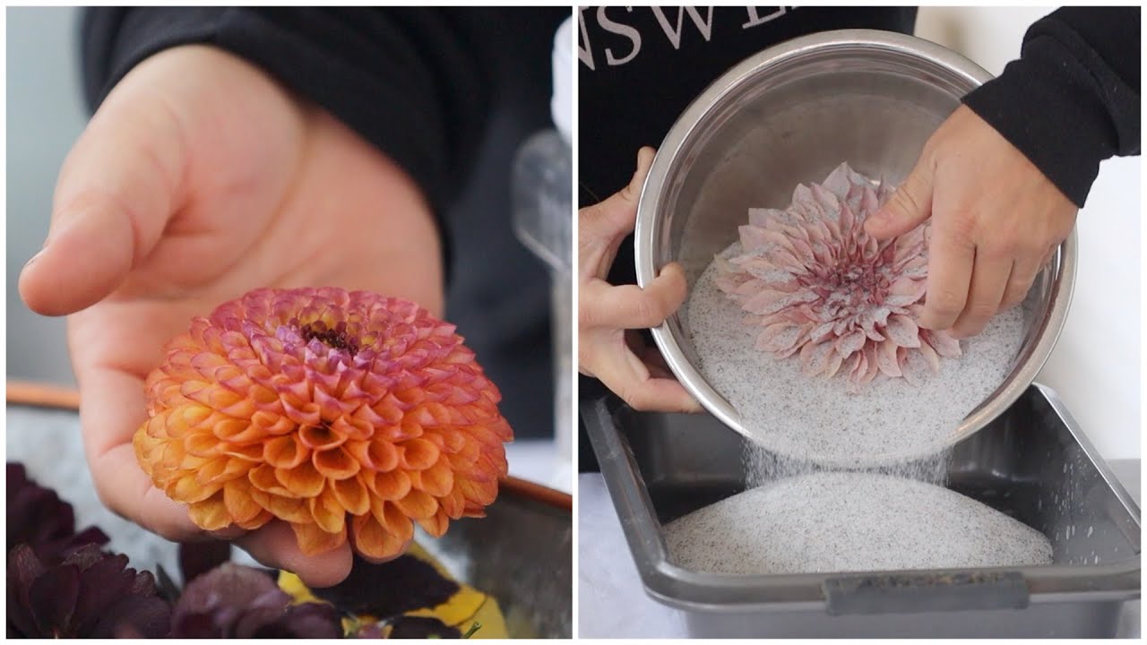 Drying Flowers With Silica Gelcrystals