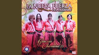 Video thumbnail of "La Nueva Fuerza del Chamamé - Gracias Chamame"