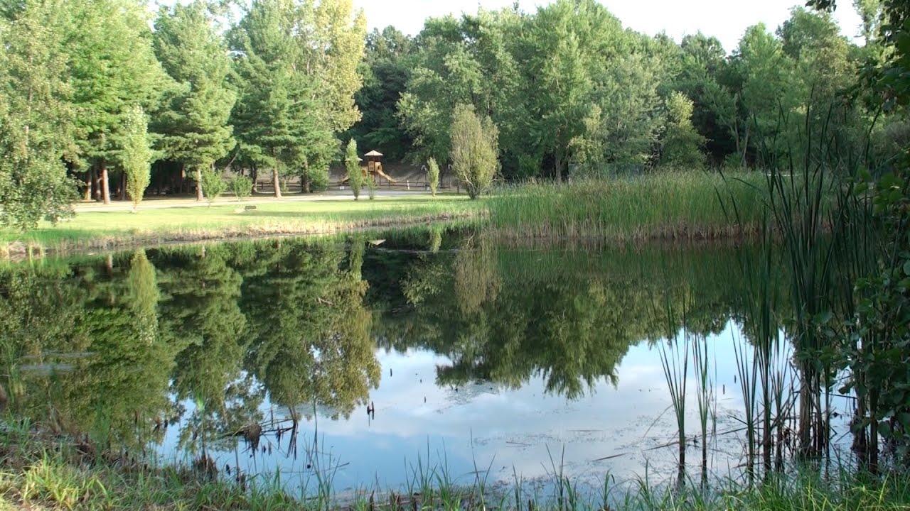 Coloma / St Joseph KOA Campground