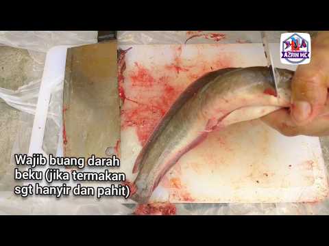 Video: Cara Memotong Ikan Keli