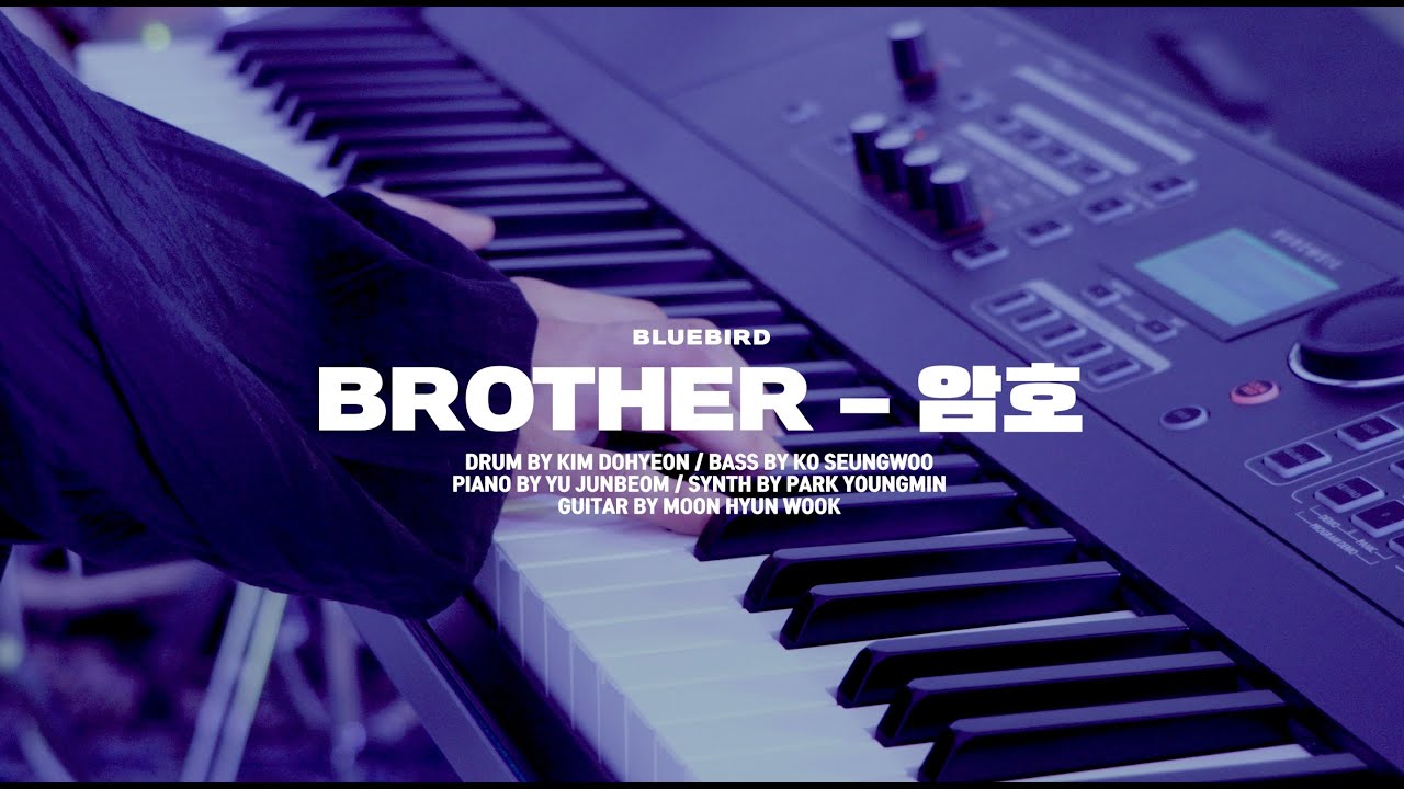 암호(AMHO) - Brother (Cover By BLUEBIRD)
