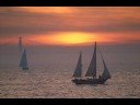 Samba de verano - Wanda de Sah