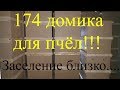 Сборка своими руками 174 корпуса для пчёл/Вес/Жизнь в деревне/2 часть