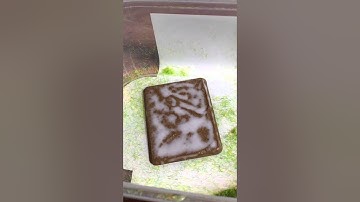 How I apply static grass (cheaply!)