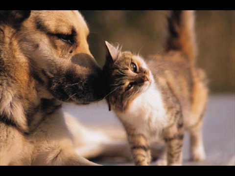 คำตอบของหัวใจ By~ฟินจัง.wmv