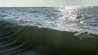 1 minute of strong waves. 🐕 by Harry Edward Pierce 90 views 5 months ago 1 minute, 8 seconds