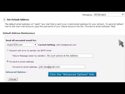How to pipe unrouted emails to a specific script in cPanel