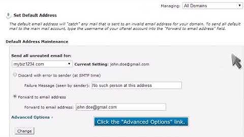 How to pipe unrouted emails to a specific script in cPanel