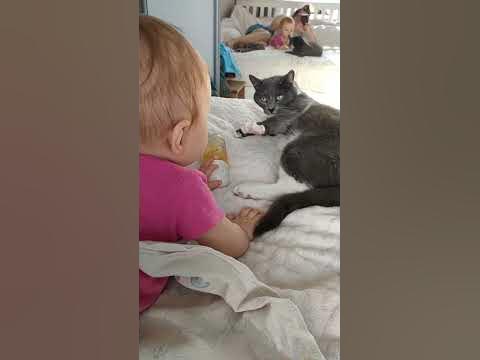 котик #7 кот Кексик и малыш - YouTube