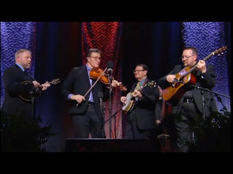 Tell Me True – Joe Mullins & the Radio Ramblers [Live Bluegrass Performance]