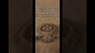 You attack the wrong nest
