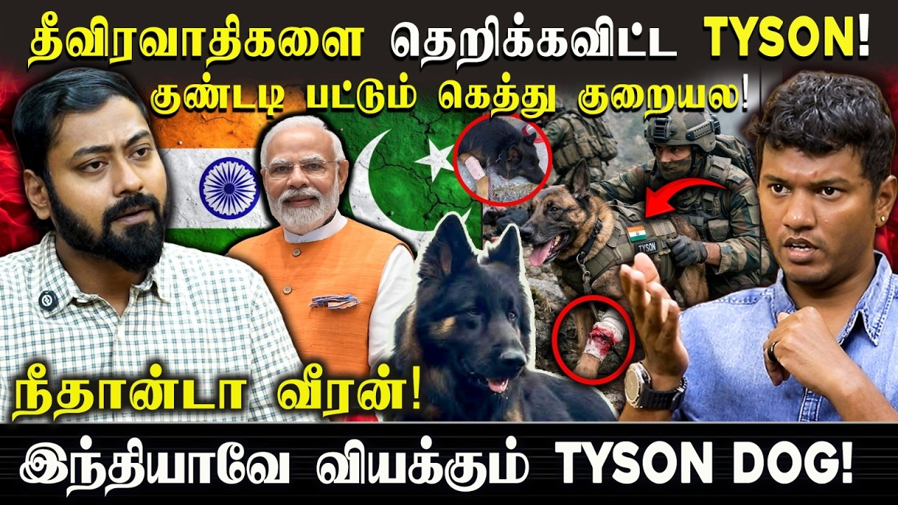 Indian Army Tyson Dog! 💥 குண்டடி பட்டும் கெத்து குறையல | நீதான்டா வீரன்! 🐕