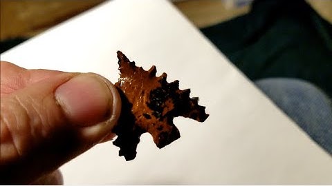 908 - Flintknapping Extreme Gunther Point from Mahogany Obsidian