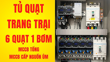 Tủ điều khiển 6 quạt cho trang trại tự động 4 kênh nhiệt MCCB đèn úm | Tu Dien DITICO