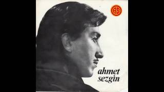 Ahmet Sezgin - Saçların Yüzüne Gölge Düşürmüş Resimi