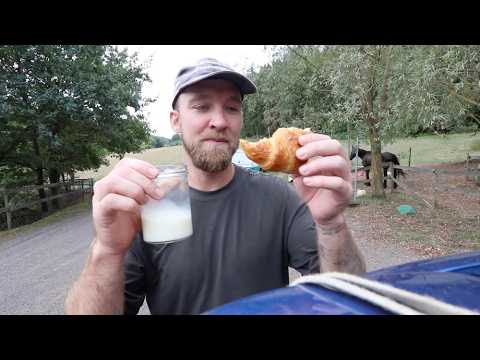 American on Organic German Cheese Farm