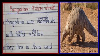 🥶10 Lines on Pangolins in English | What is Pangolin Animal | About Pangolin | Essay on Pangolin Eng