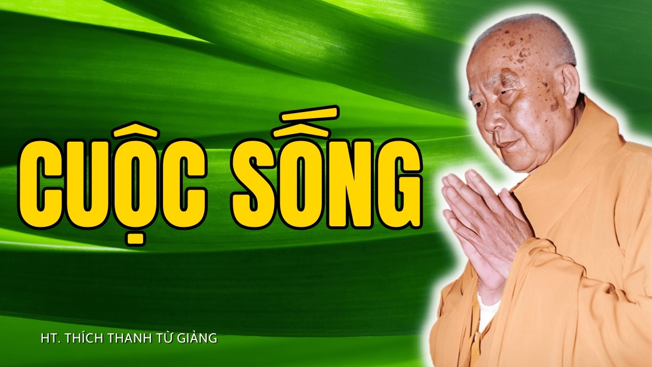 Nghe Bài Này Mới Biết: Thiền KHÔNG XA CUỘC SỐNG | Thiền Sư Thích Thanh Từ Giảng Giải