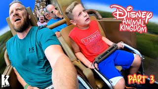 K-City Goes WILD at Disney World's Animal Kingdom! / K-City Family