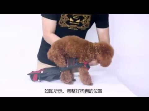 pets supplies backpack for dogs teddy traveling bag