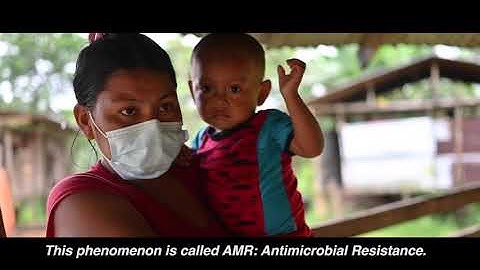 COVID-19 and Antimicrobial Resistance (AMR)