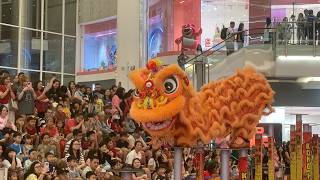 CUTE! Barongsai Lion Dance Imlek CNY 2026 🧧Emporium Pluit Mall Jakarta 🇮🇩  | 28 Feb 2026 Jam 19.00