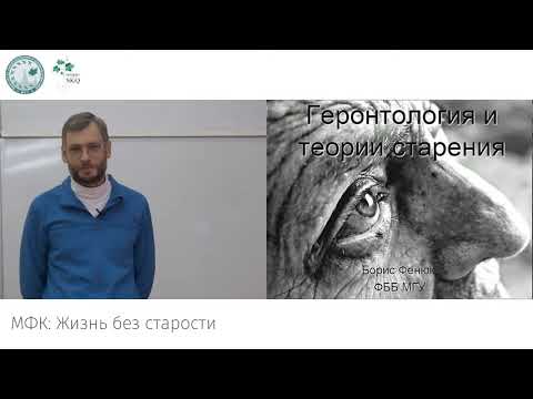МФК: Жизнь без