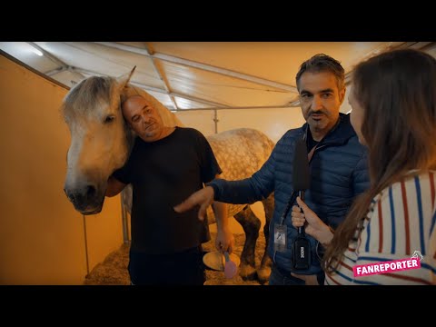 Video: Ändern Percheron-Pferde ihre Farbe?