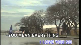 Video thumbnail of "Memory Love Songs Vol.1 -  YOU MEAN EVERYTHING TO ME  (Karaoke)"