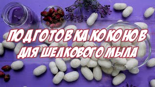 Подготовка коконов для шелкового мыла