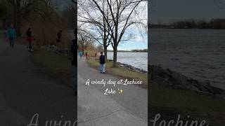 Lachine Lake, Montréal ✨🇨🇦#travelshorts #nature #montreal #montrealtravel #explorecanada